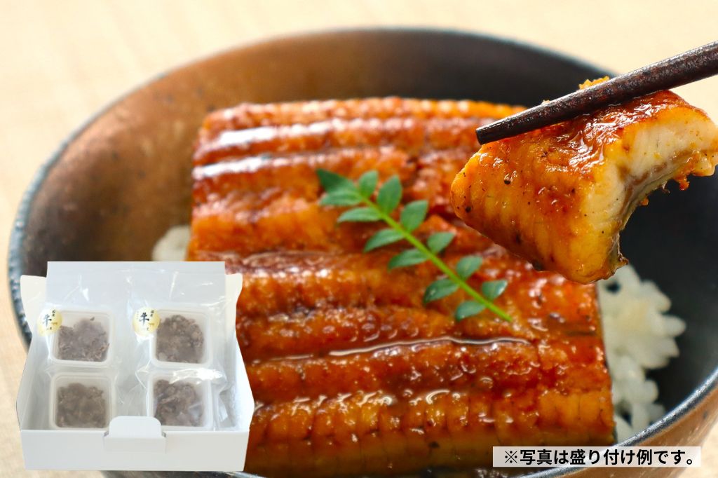 特選ギフト 鹿児島産うなぎ詰合せ