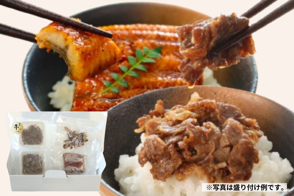 特選ギフト 鹿児島産うなぎと国産牛しぐれ煮