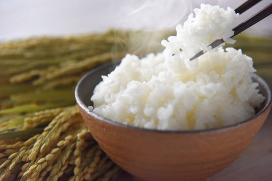 栄養豊富で認知症予防効果も！高齢者にごはんがおすすめな理由