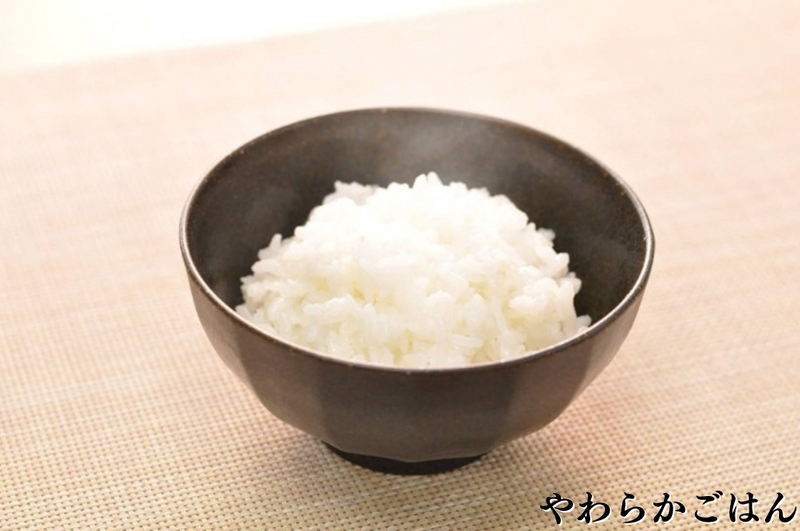 バラエティセット（10食＋やわらかごはん2個プレゼント）