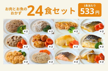 バラエティ24食セット