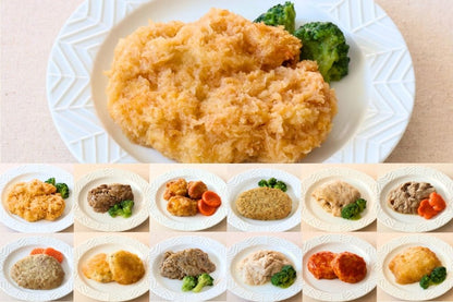 お肉12食セット
