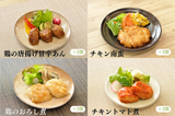 定期便　お肉２１食コース
