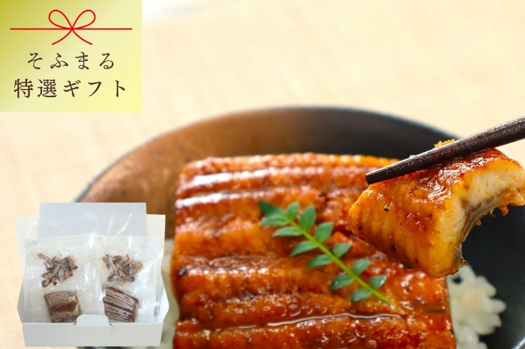 特選ギフト　鹿児島産うなぎ詰合せ