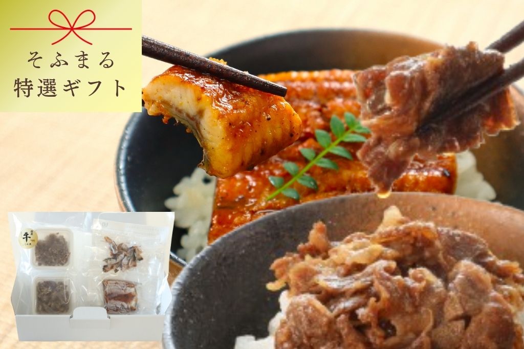 特選ギフト　鹿児島産うなぎと国産牛しぐれ煮