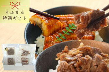 特選ギフト　鹿児島産うなぎと国産牛しぐれ煮