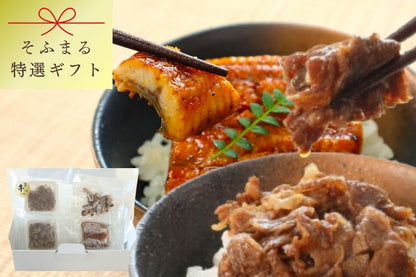 特選ギフト　鹿児島産うなぎと国産牛しぐれ煮