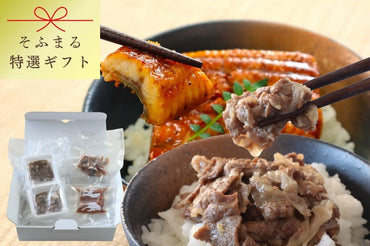 特選ギフト　鹿児島産うなぎと国産牛しぐれ煮
