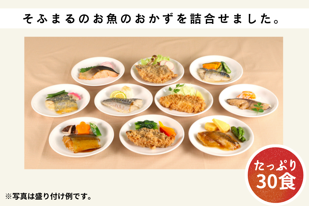 お魚30食セット