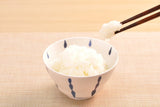 やわらかごはん_箸上げ2